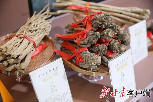 先睹為快 | 第三十屆蘭洽會生物醫藥館布展工作圓滿完成，生物制品領域亮點紛呈